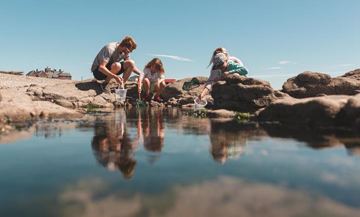 Rock pooling Rest Bay
